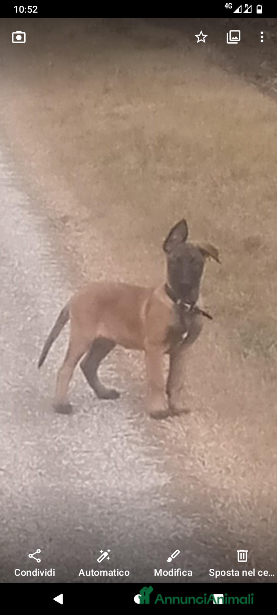 Immagine della galleria {{count}}