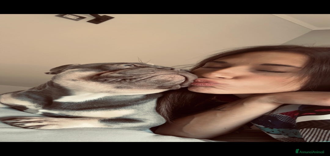 Immagine della galleria {{count}}