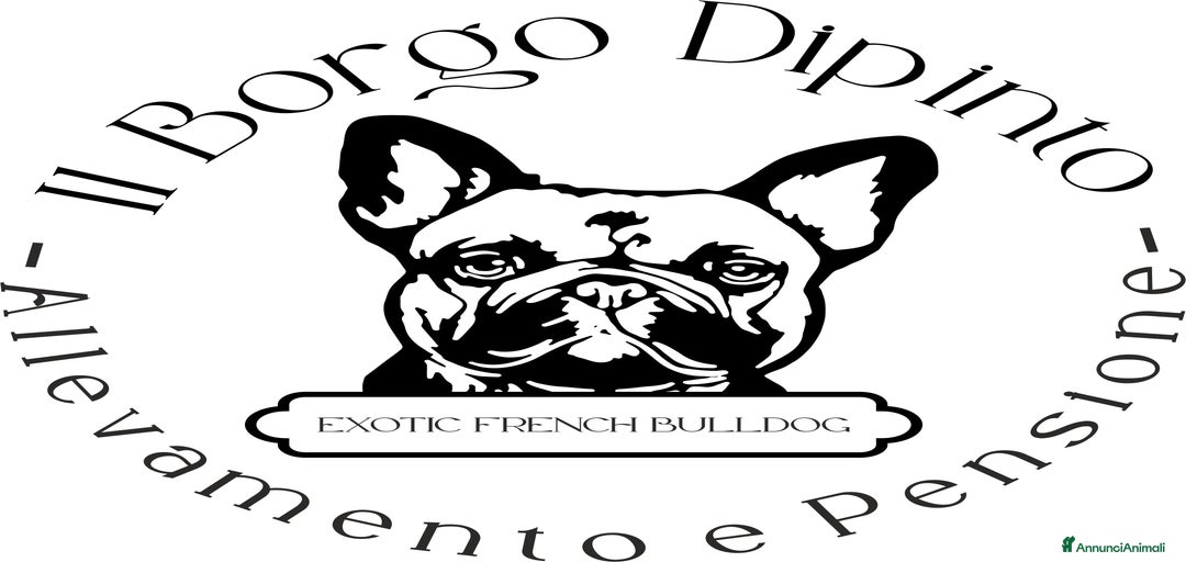 Immagine della galleria {{count}}