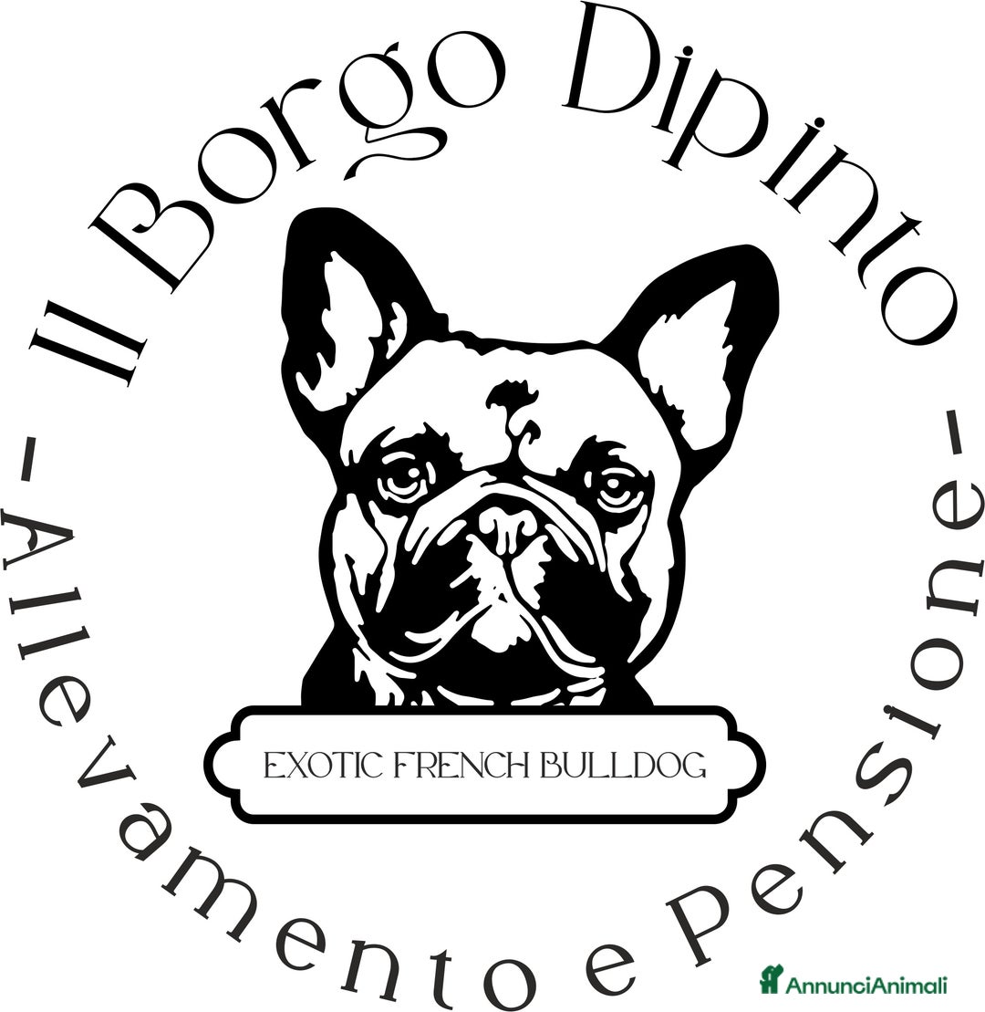 Immagine della galleria {{count}}