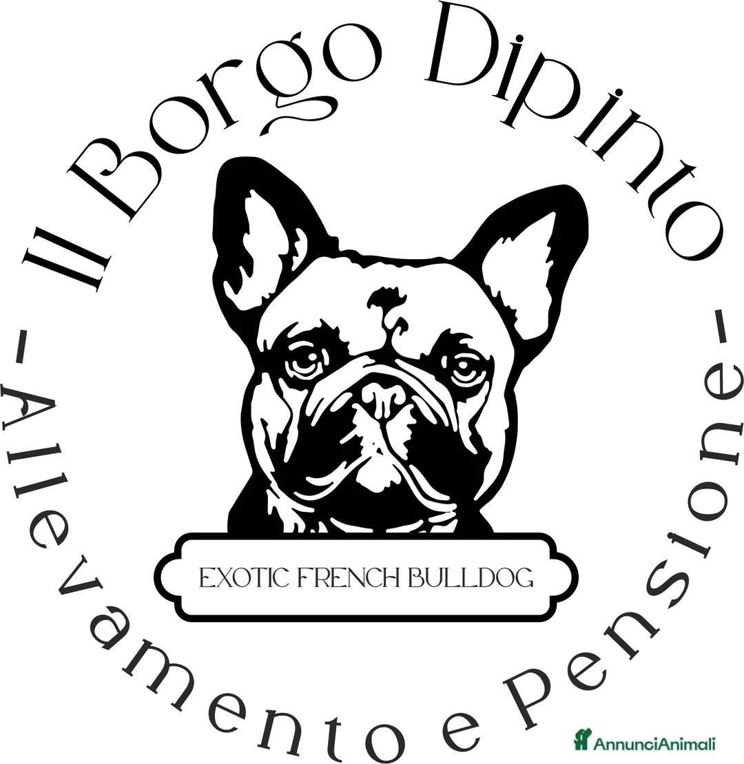 Immagine della galleria {{count}}