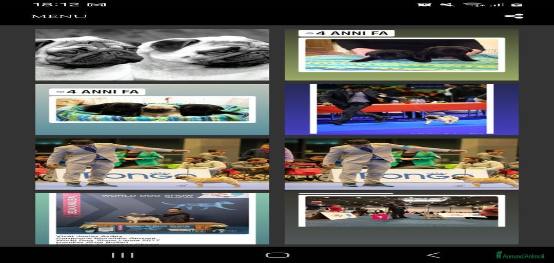 Immagine della galleria {{count}}