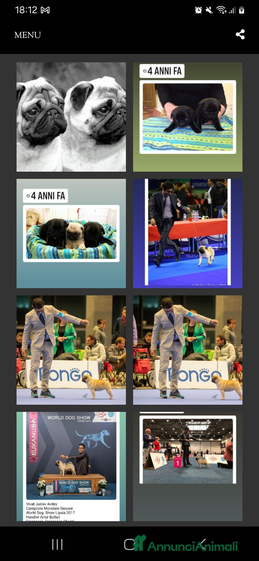 Immagine della galleria {{count}}