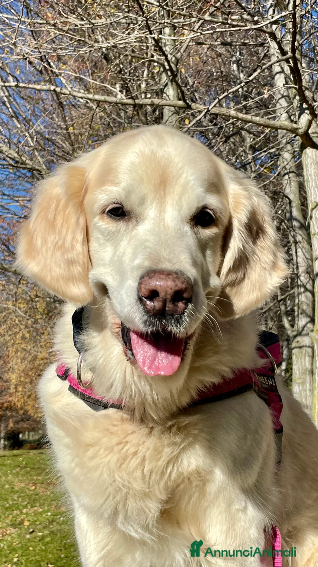 Immagine della galleria {{count}}