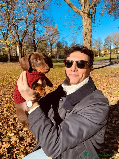 Immagine della galleria {{count}}