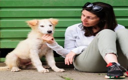 Meticcio cani in regalo: Juri, 4 mesi a Provincia di Bergamo - Immagine 3