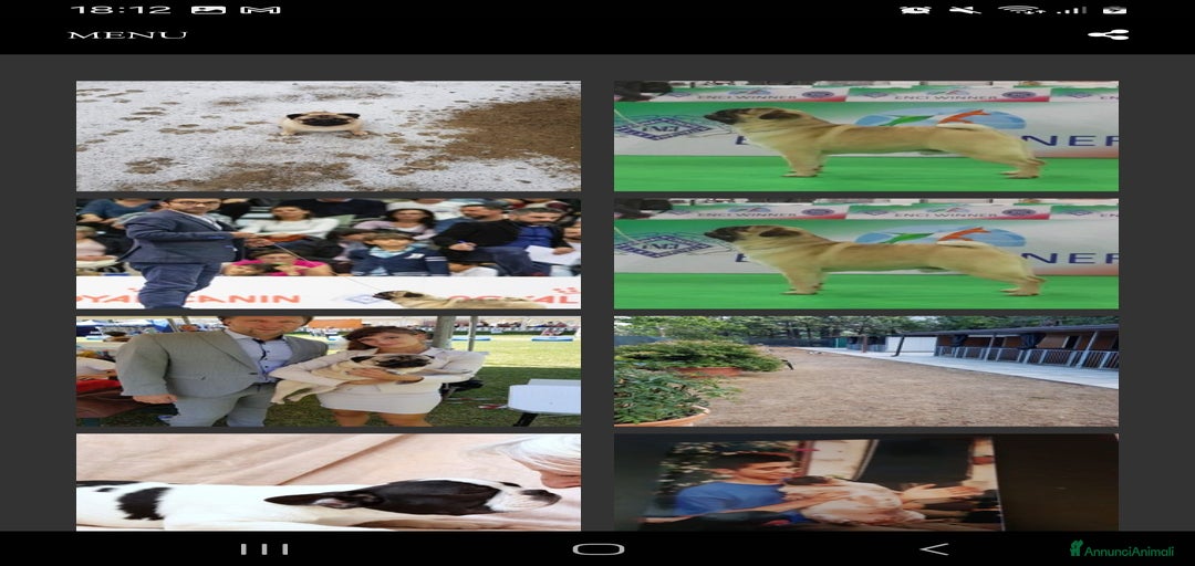 Immagine della galleria {{count}}