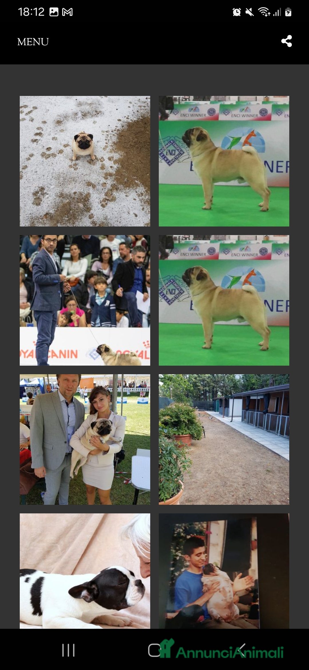 Immagine della galleria {{count}}