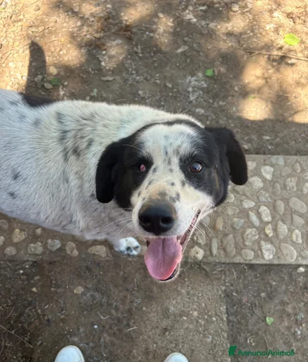 Immagine della galleria {{count}}