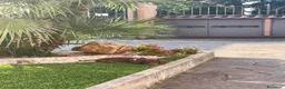 Bassotto Nano cani in vendita: Bassotto cioccolato nano  a Città metropolitana di Milano - Annuncio 4