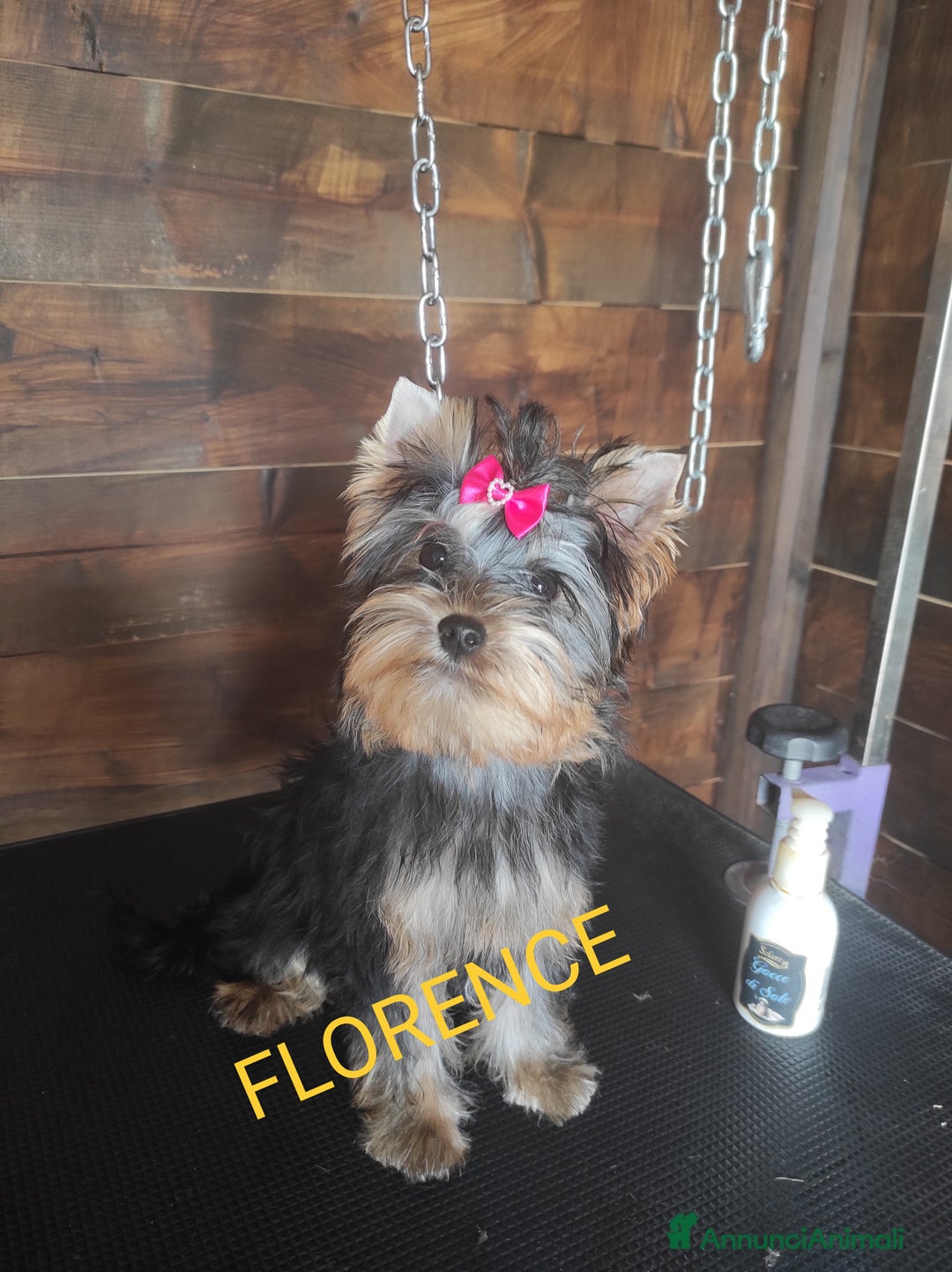 Immagine della galleria {{count}}