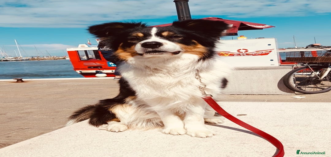 Immagine della galleria {{count}}