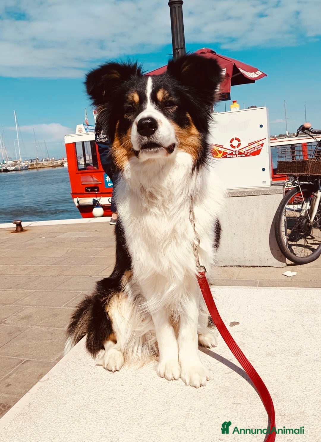 Immagine della galleria {{count}}