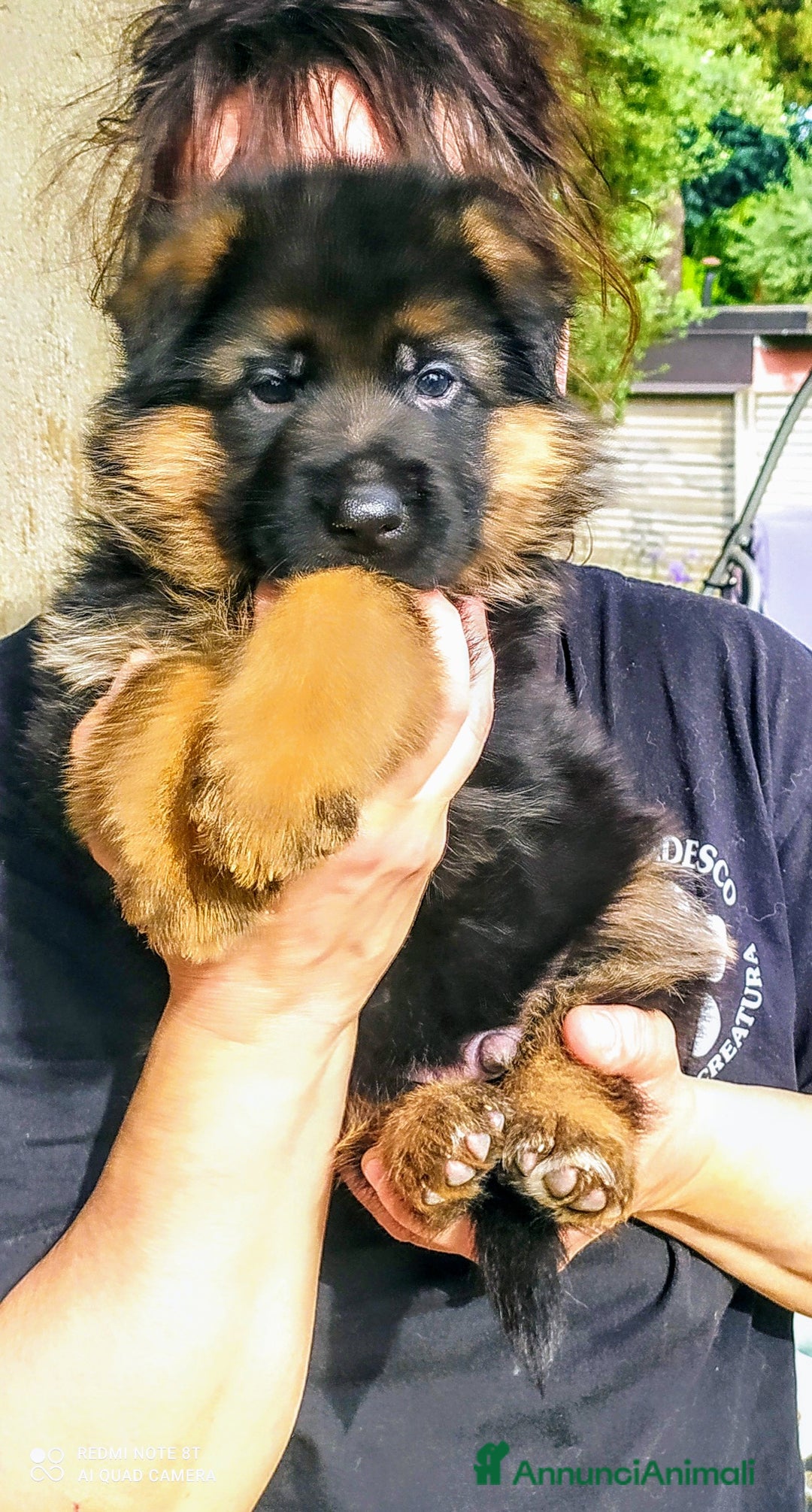 Immagine della galleria {{count}}