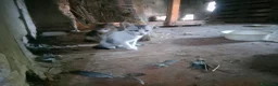 Meticcio gatti in regalo: REGALO gattini di campagna. a Provincia di Reggio Emilia - Annuncio 3