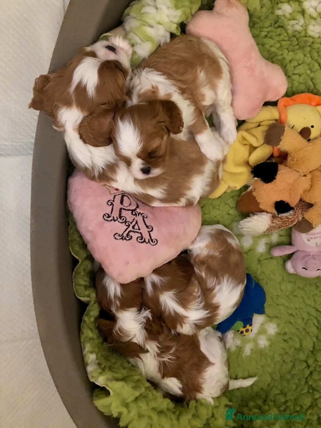 Immagine della galleria {{count}}