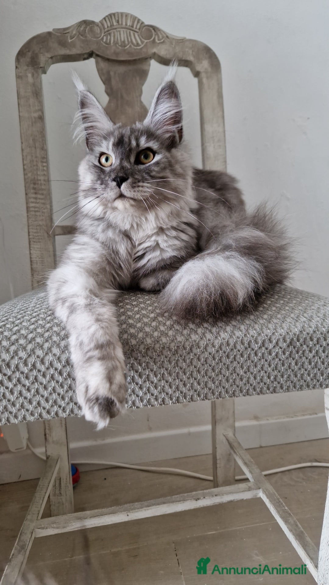 Immagine della galleria {{count}}