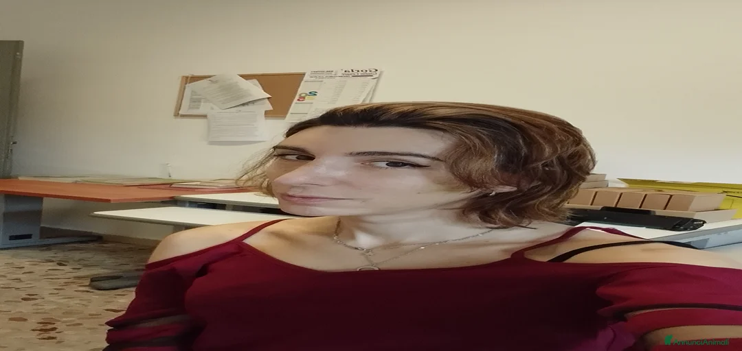 Immagine della galleria {{count}}