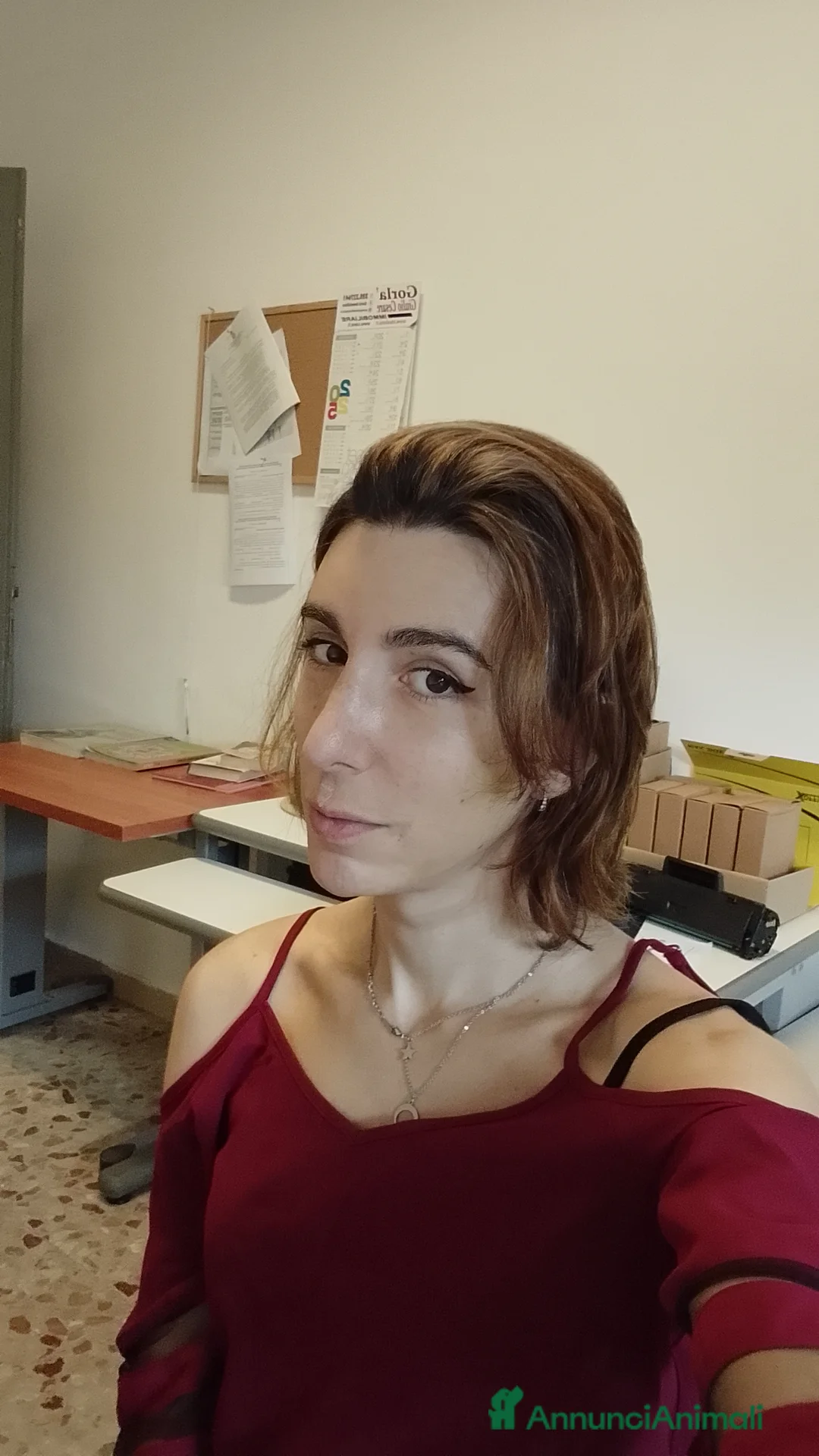 Immagine della galleria {{count}}