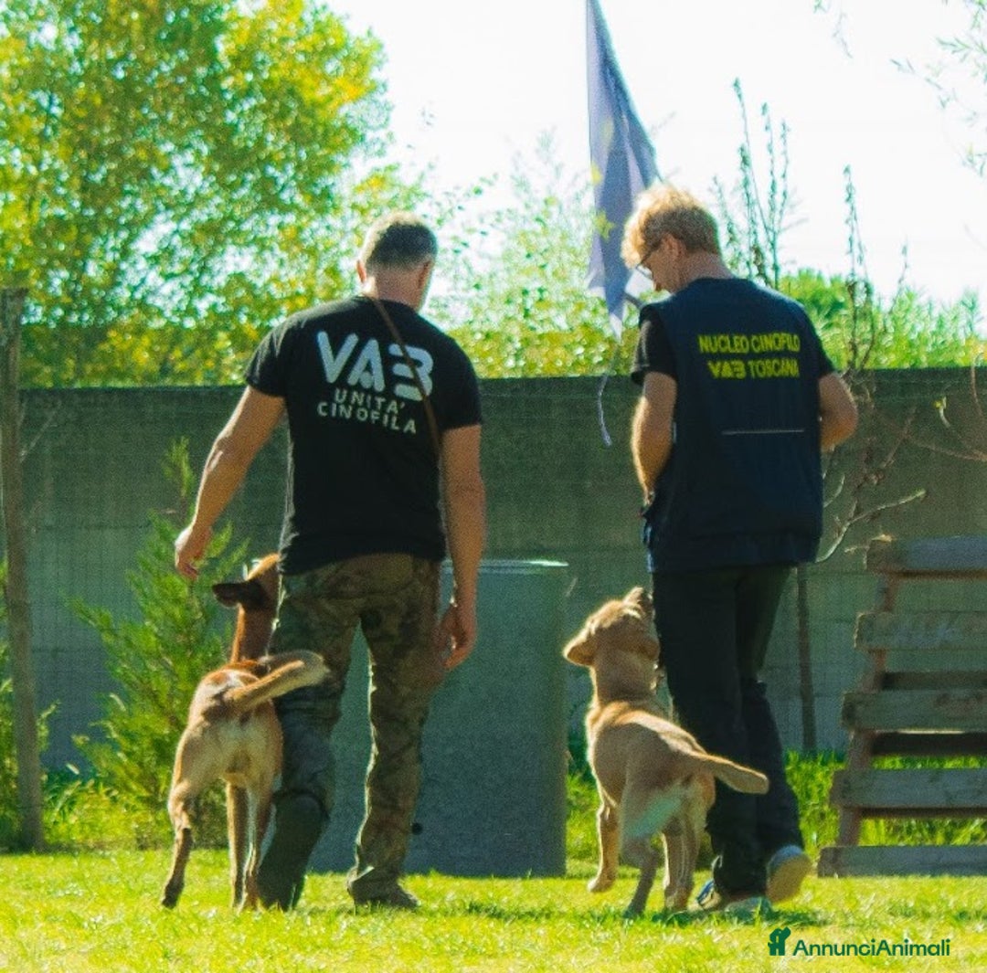 Immagine della galleria {{count}}