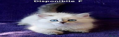 Siberiano 5