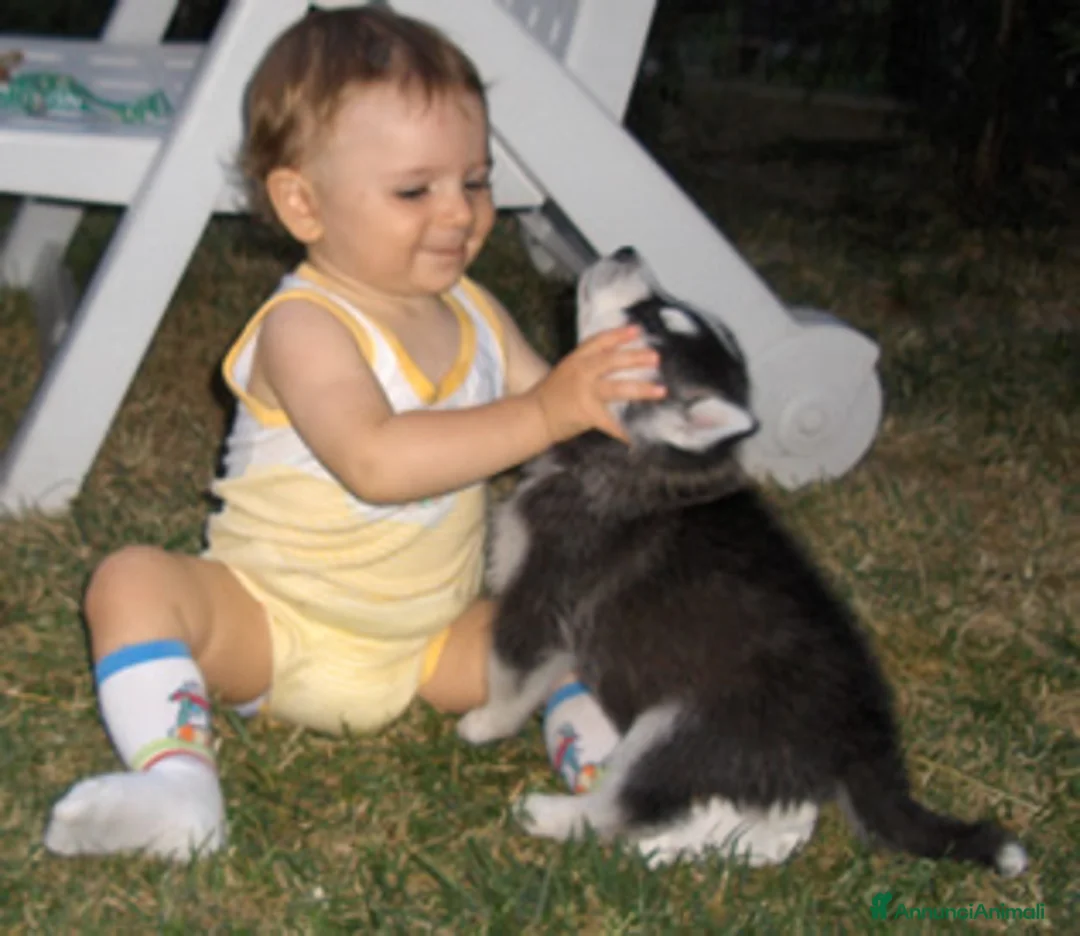 Immagine della galleria {{count}}