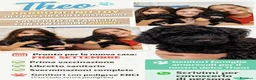 Barboncino Toy cani in vendita: Ultimo Barboncino Toy Nero - Annuncio 1