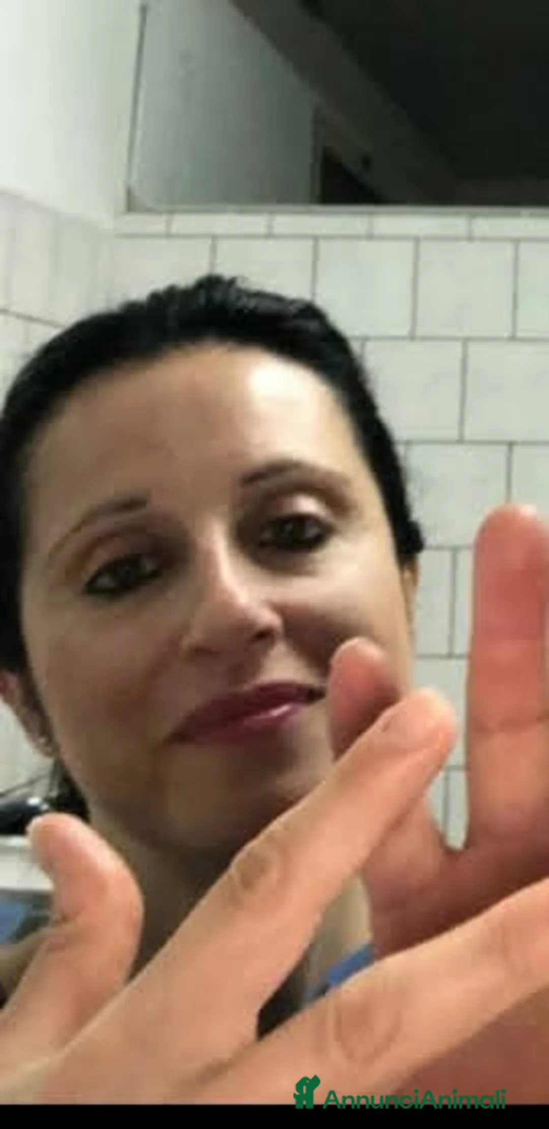 Immagine della galleria {{count}}