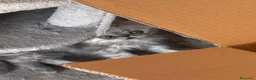 Persiano gatti in vendita: Splendidi Gattini Persiani  - Annuncio 1