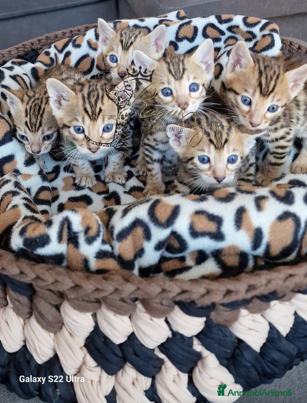 Immagine della galleria {{count}}