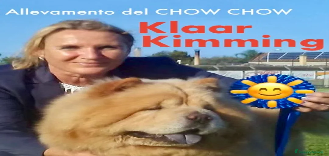 Immagine della galleria {{count}}