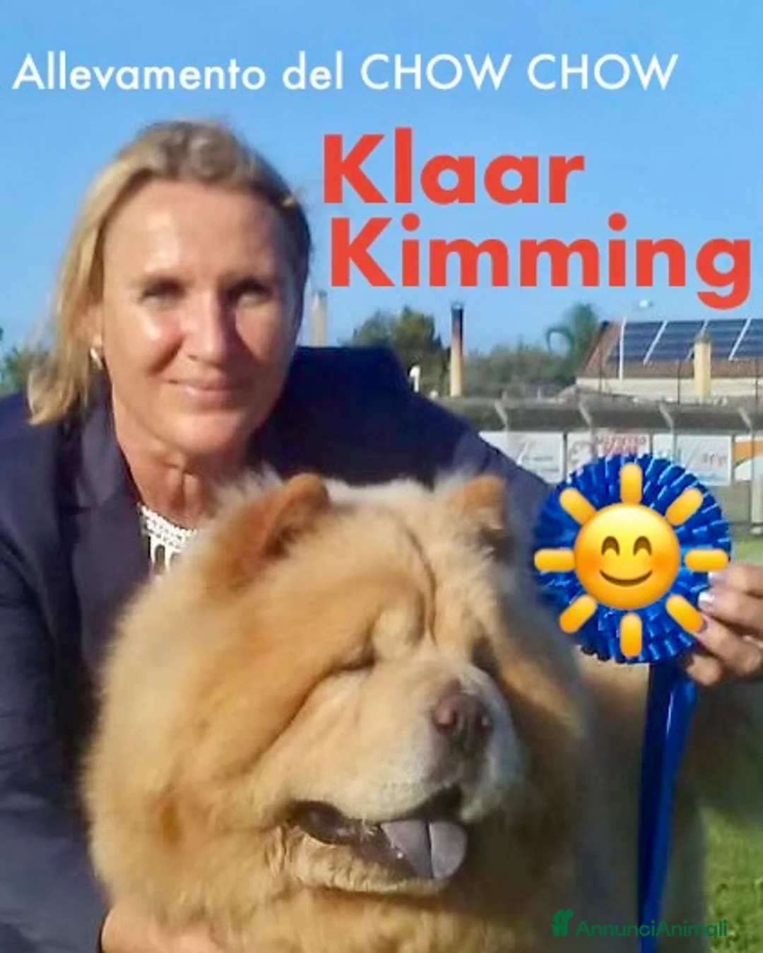 Immagine della galleria {{count}}