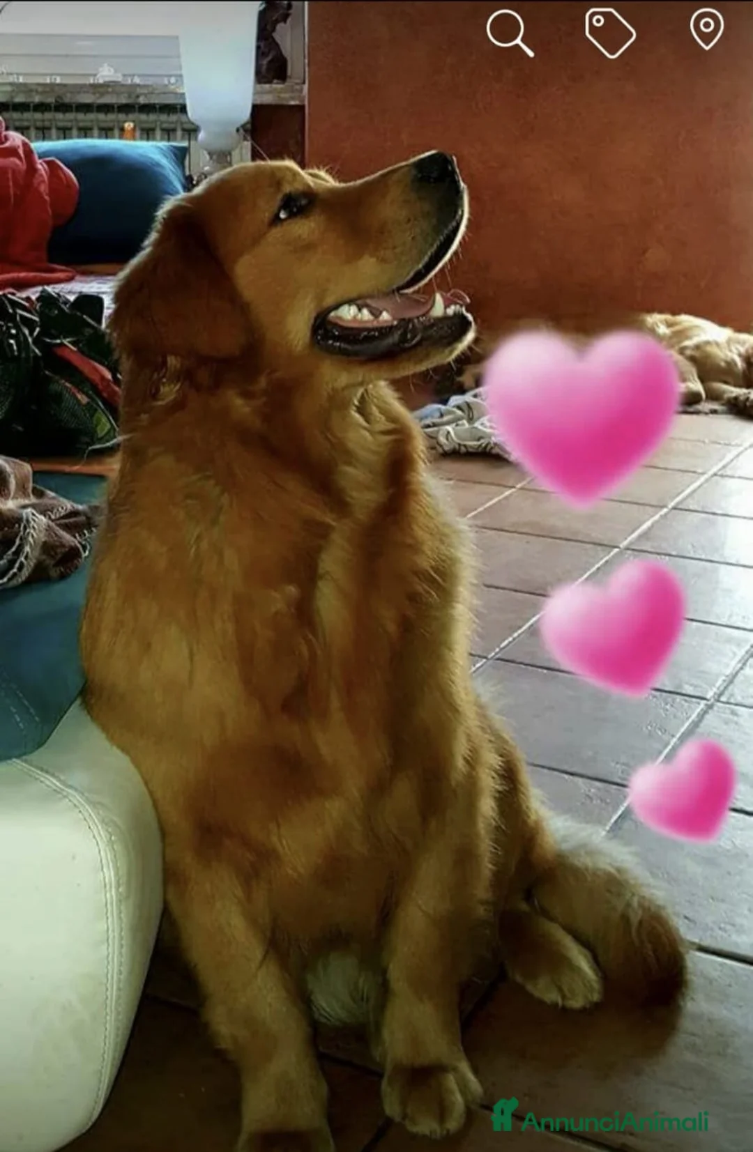 Immagine della galleria {{count}}