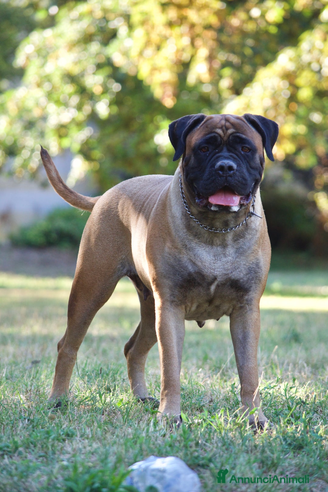 Immagine della galleria {{count}}