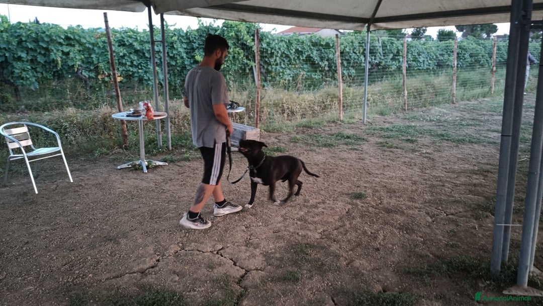 Immagine della galleria {{count}}