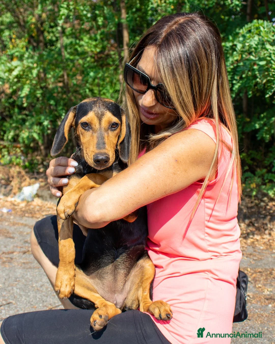 Meticcio cani in regalo: JODY  - Annuncio 5