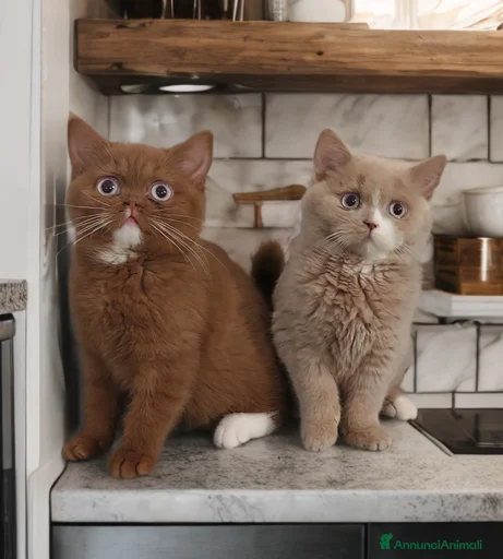 Immagine della galleria {{count}}