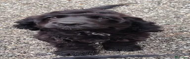 Meticcio 2