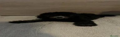 cucciola