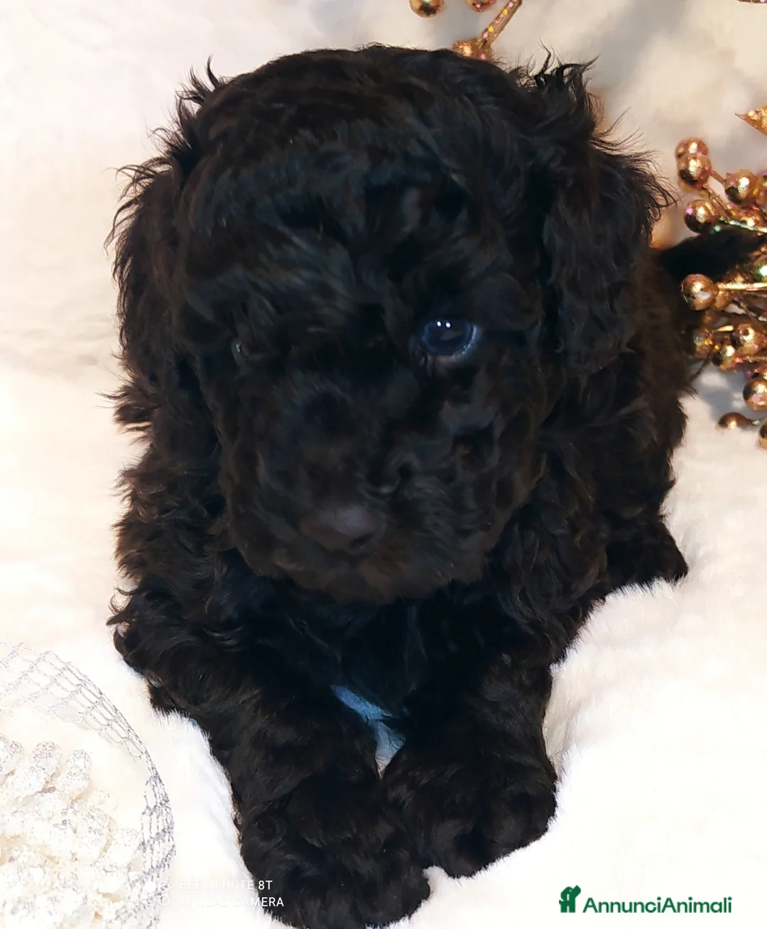 Immagine della galleria {{count}}