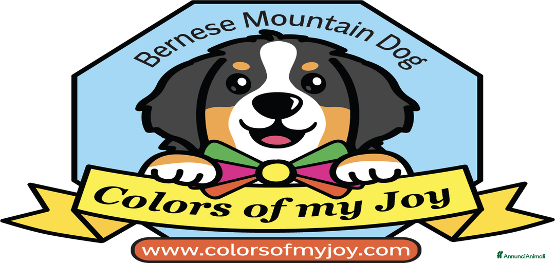 Immagine della galleria {{count}}