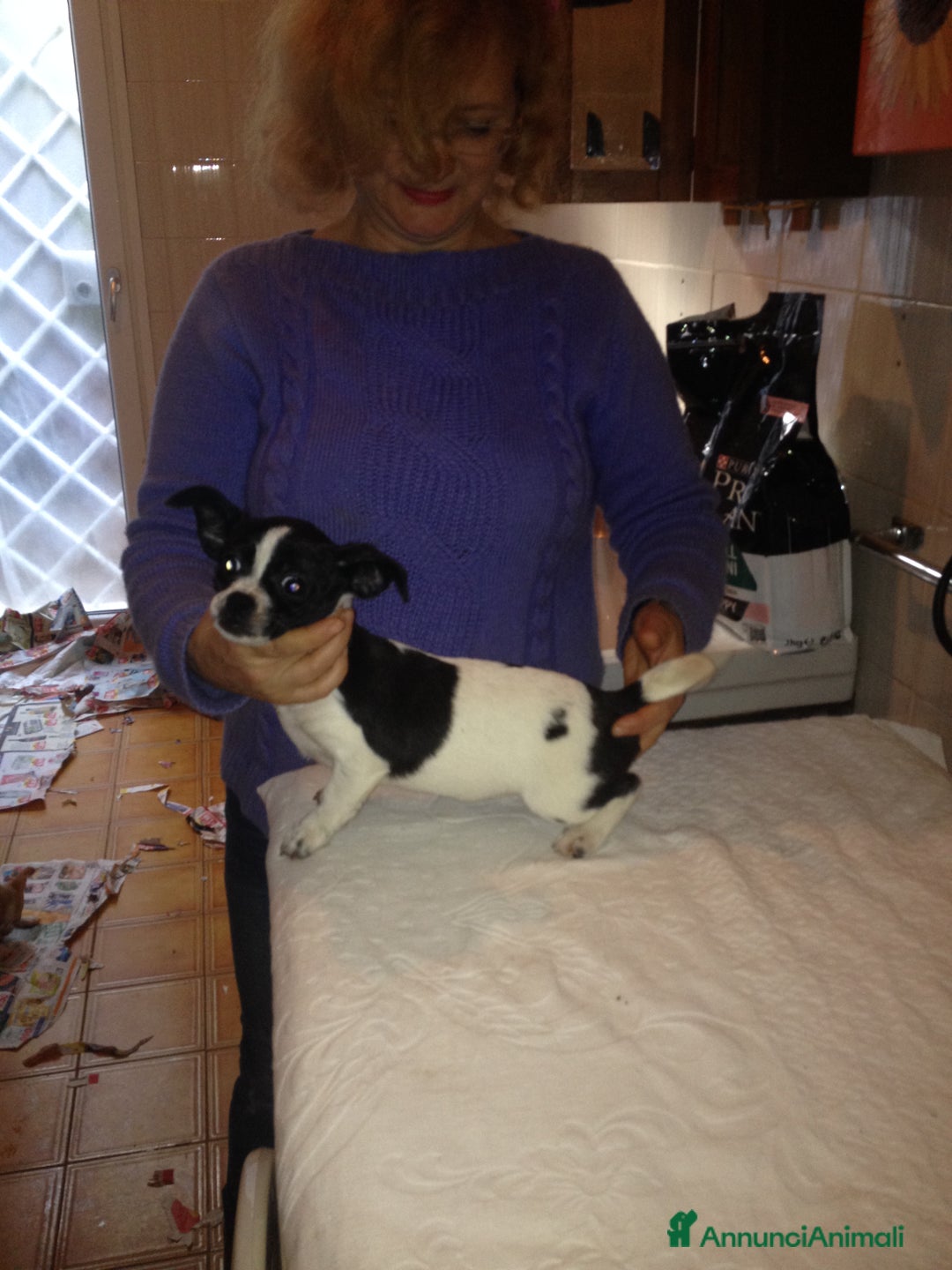 Immagine della galleria {{count}}