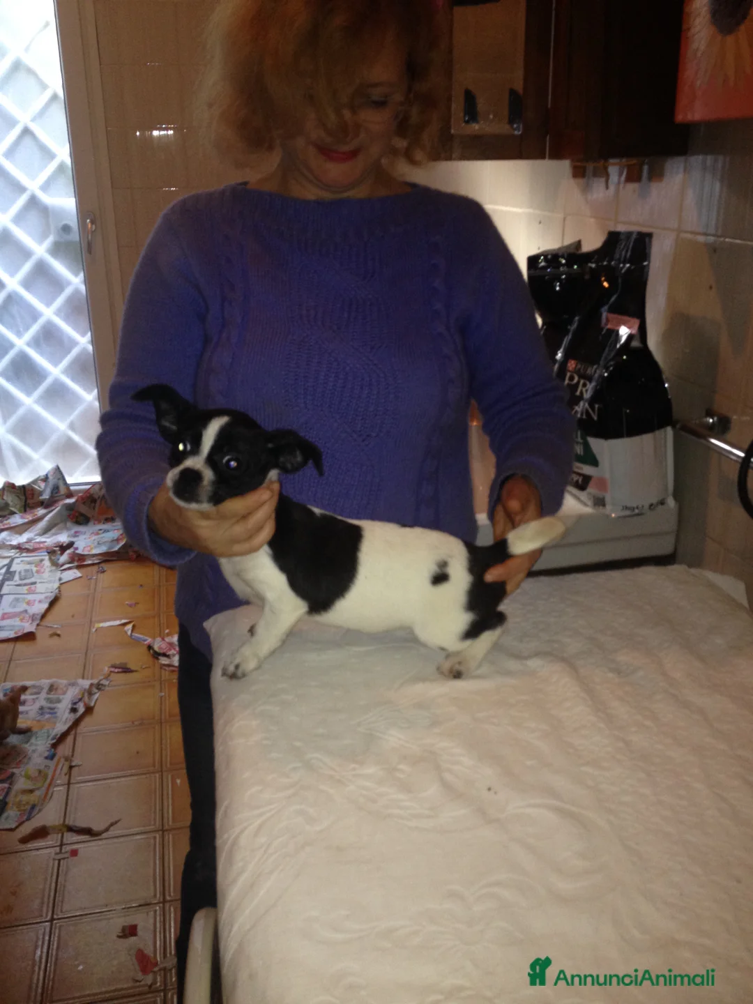 Immagine della galleria {{count}}