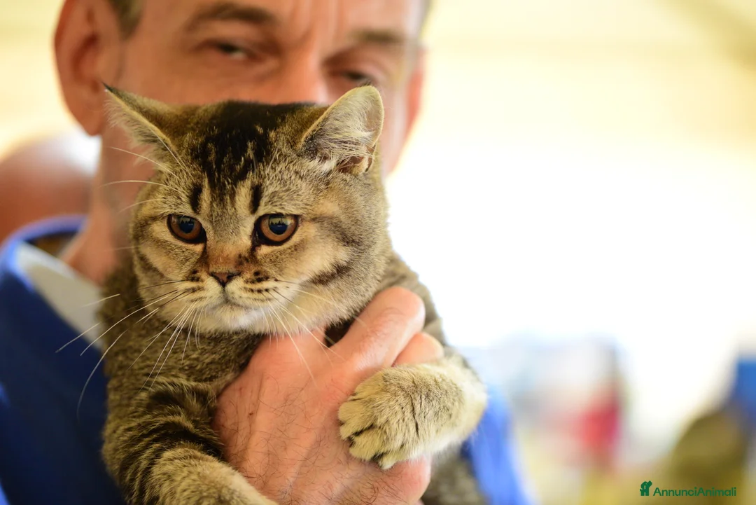 Immagine della galleria {{count}}