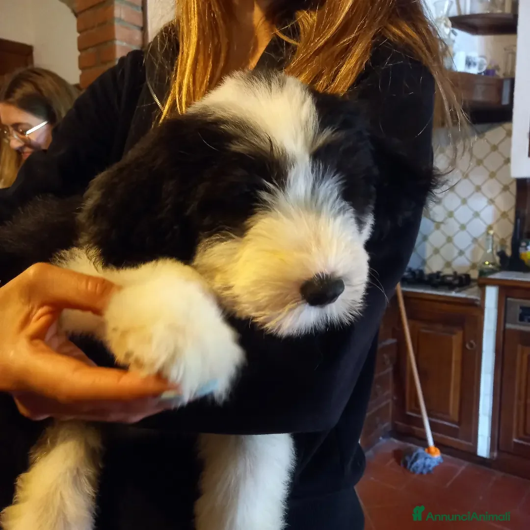 Immagine della galleria {{count}}