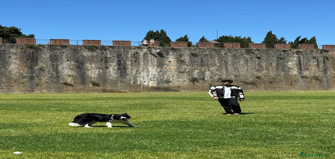 Immagine della galleria {{count}}