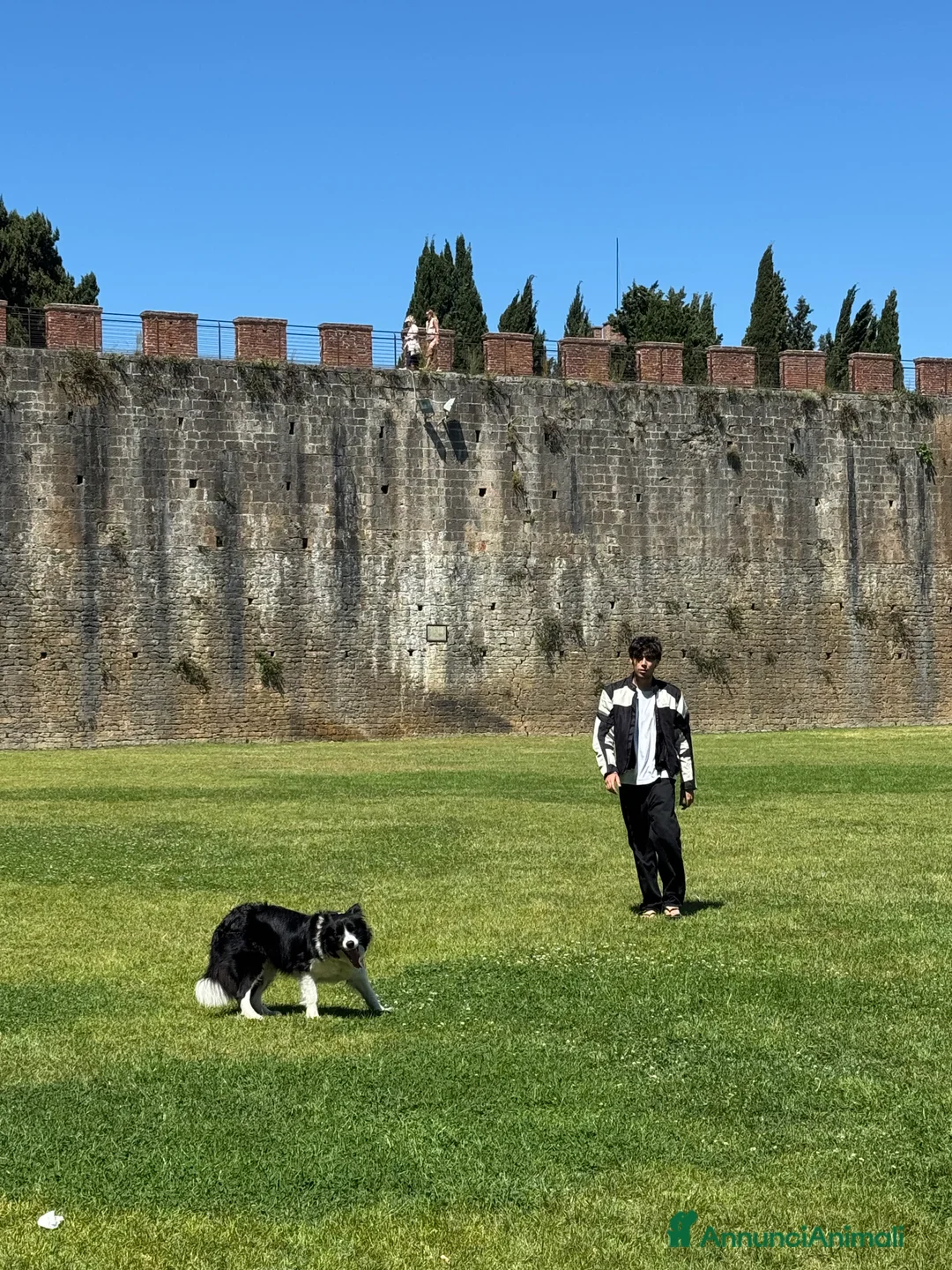 Immagine della galleria {{count}}