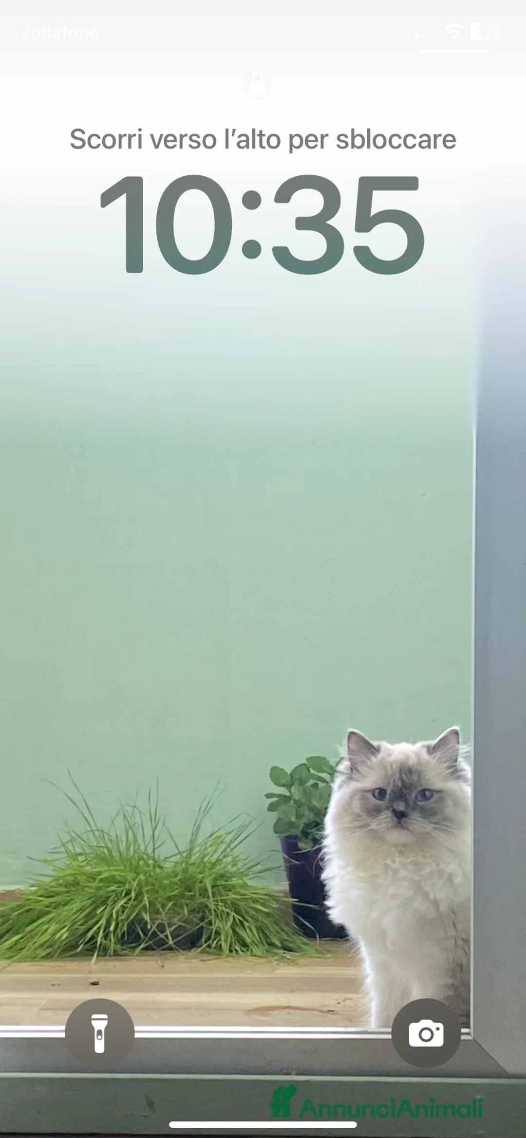 Immagine della galleria {{count}}