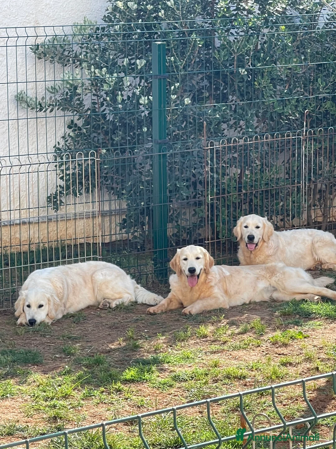 Immagine della galleria {{count}}