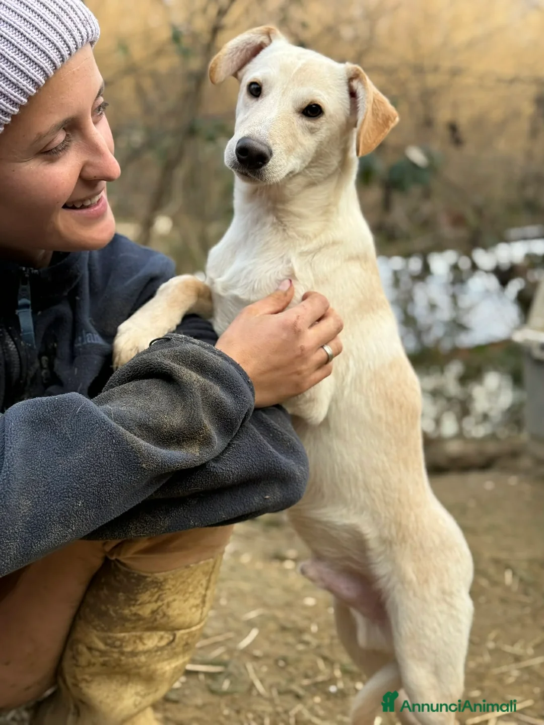 Meticcio cani in regalo: NERO, cucciolo dimenticato. Tg MEDIO PICCOLA - Annuncio 7